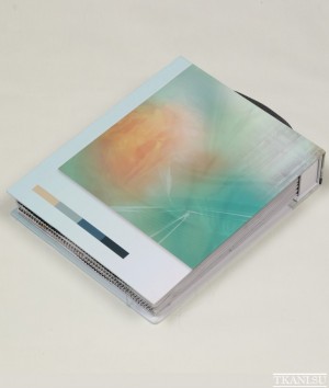 IV