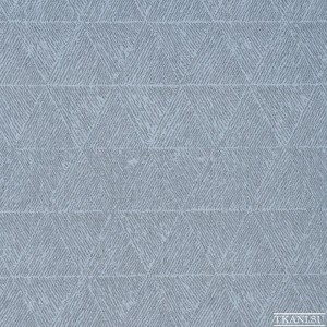 F00911