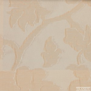 F00678